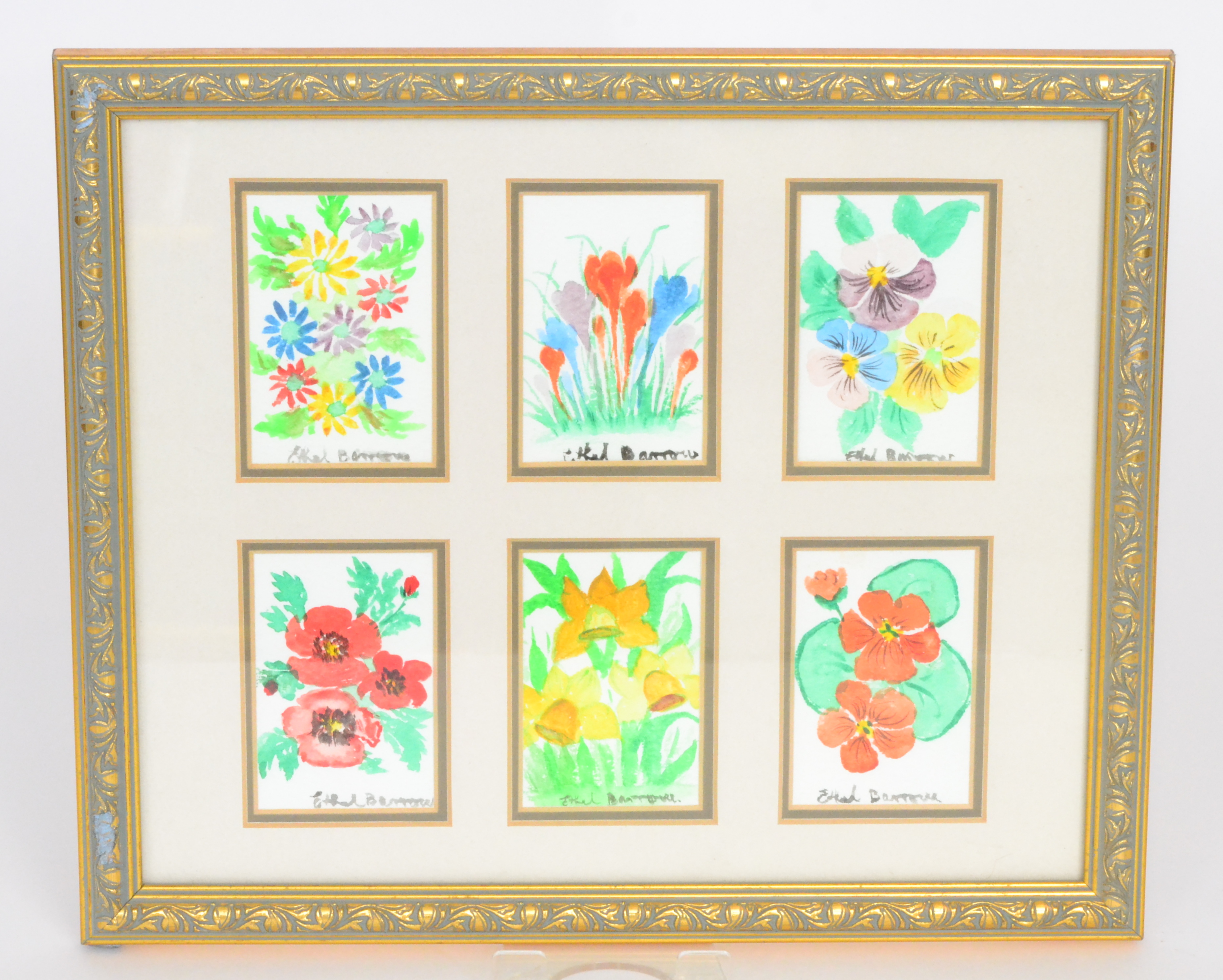 Four framed watercolour studies of flowers by Ethel Barrow,