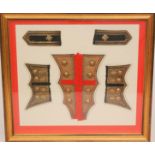 A framed display group of parts of a Coldstream Guards uniform depicting buttoned and braided