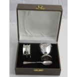 A modern Irish silver Condiment Set, salt, pepper and mustard pot, with two spoons,