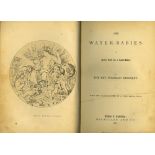 Kingsley (Rev. Chas.) The Water-Babies: A Fairy Tale for a Lady - Baby, sm. 4to L. & Cambridge 1863.