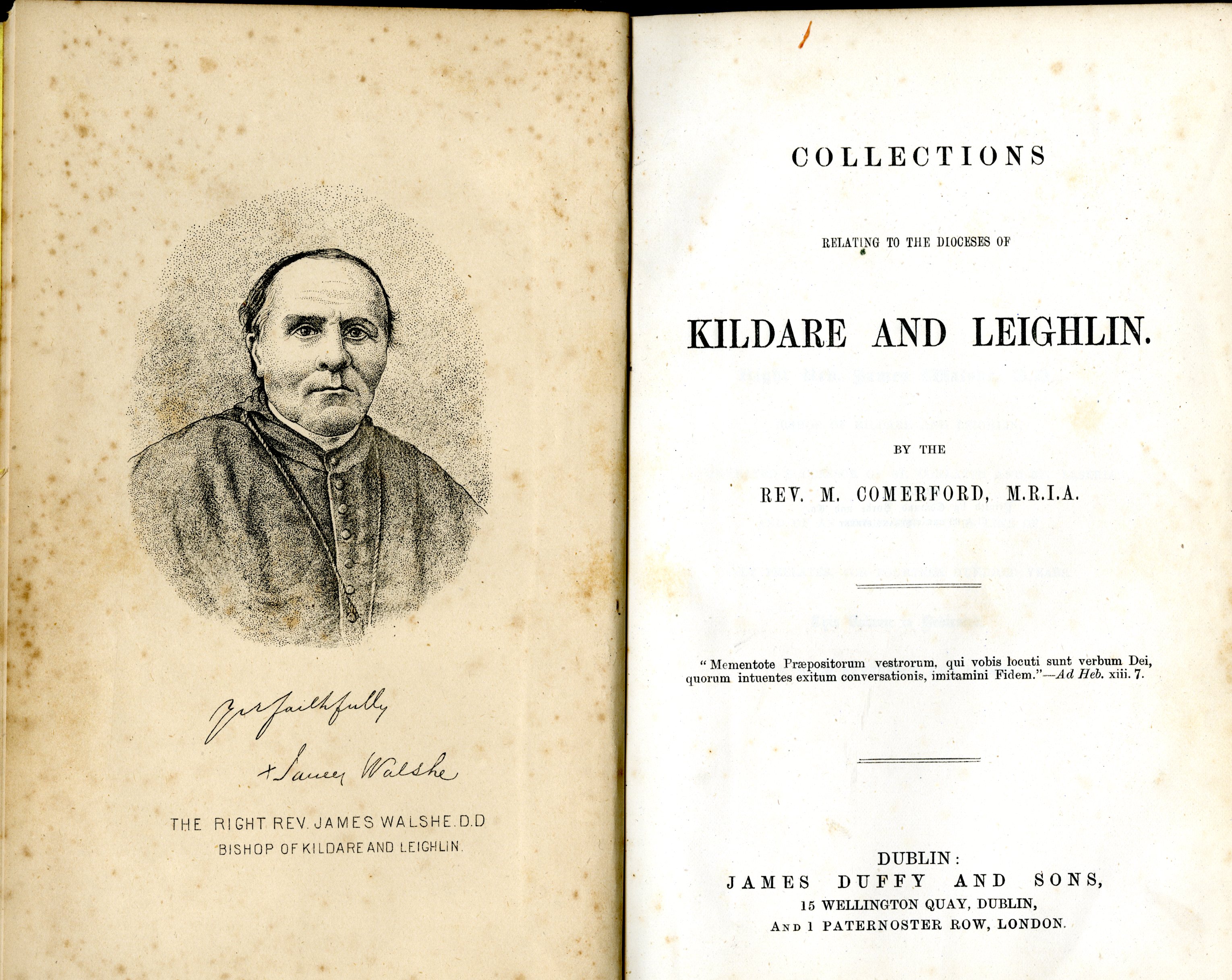 Kildare & Leighlin: Comerford (Rev. M.