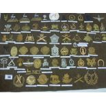 BOARD OF ASSORTED CAP BADGES INCLUDING ROYAL NAVY