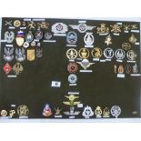 BOARD OF ASSORTED CAP BADGES INCLUDING BELGIUM AND GERMANY