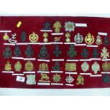 BOARD OF ASSORTED CAP BADGES INCLUDING LONDON