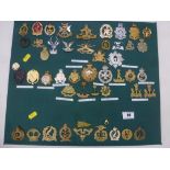 BOARD OF ASSORTED CAP BADGES INCLUDING NEW ZEALAND