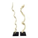 Interesting pair of decorative driftwood pieces of spiral form on black stepped plinth bases, each