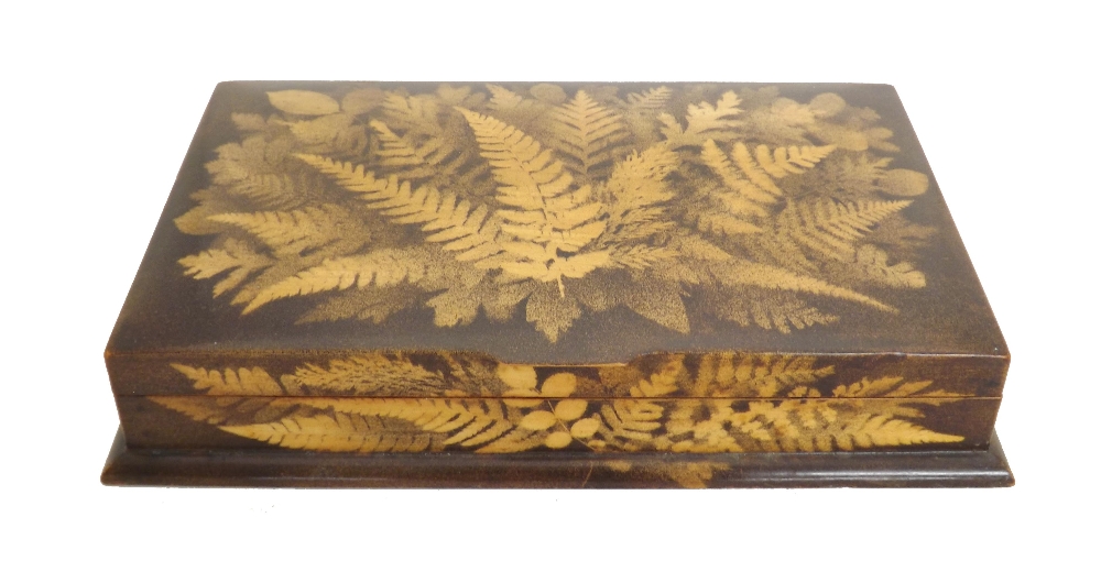 Fern ware - rectangular card box with a divided interior, 11" x 7"