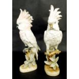 Two Royal Dux porcelain figures of cockatoos, pink triangle stamp mark to base and further ink stamp