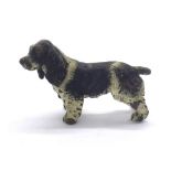 Austrian cold painted bronze of a spaniel, 1.75" long