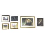 After James Taylor (20th/21st century) - 'Punchy', a lion, signed artist's proof, also numbered