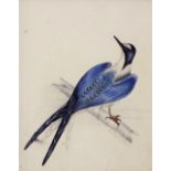 19th Century School - hand coloured sketch of a bird on a branch, indistinctly signed and dated