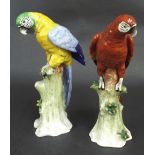 Pair of Sitzendorf porcelain parrots, each upon naturalistic bases, underglaze S and crown mark to