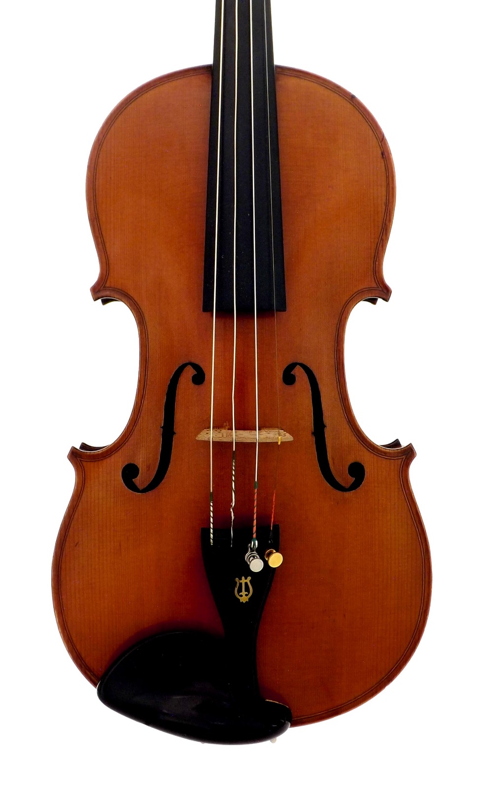 Violin labelled Giuseppe Vignali, da Verucchio, 1916, the one piece back of broad curl with
