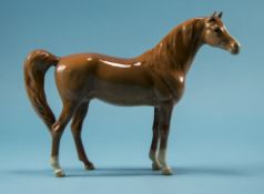 Beswick Horse Figure - Arab ' Xayal 'Chestnut Colour. Model No 1265. Designer A. Gredington.