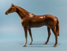 Beswick Horse Figure ' Large Race Horse ' Chestnut Colour way. Model 1564. Issued 1959 - 1967. 11.