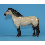 Beswick Horse Figure ' Highland Pony ' - Colour Dun Gloss ' Mackionneach ' Model Num.1644.