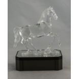 Swarovski Fine Crystal Figure ' Arabian Stallion ' Designer Stefanie Nederegger.
