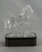 Swarovski Fine Crystal Figure ' Arabian Stallion ' Designer Stefanie Nederegger.