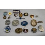 Small Mixed Lot Containing Badges,