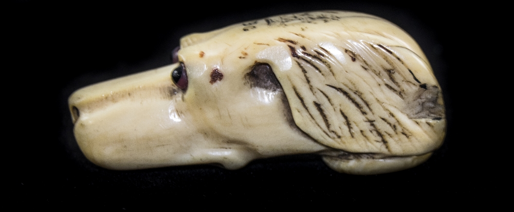 A Late 19th Century Ivory Figural Swagger Stick Top, In The Form of a Dogs Head with Glass Eyes. 2.