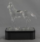 Swarovski Crystal Figure ' Stallion ' Designer Stefanie Nederegger. Num 9100 Nr 000 045.