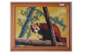 Oil on Board By Jimmy Tulloch, Titled ' Who Me ' Depicting a Raccoon In a Tree,