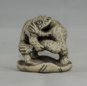 Japanese Ivory Netsuke Finely Carved Depicting 2 Toads Embracing, Raised On A Lily Pad, Signed To