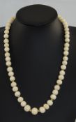 18ct Gold and Angel Skin Beaded Coral Necklace, The Corals of Good Quality, Set with 18ct Gold