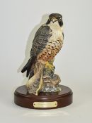 Royal Doulton - Ltd and Numbered Edition Bird Figure ' Peregrine Falcon ' HN3541. Num 2110 of 2500.