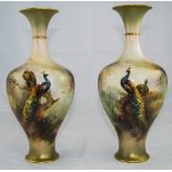 Royal Worcester Pair of Fine Hand Painted Vases 'Peacocks and Peahens in a Woodland Setting', signed