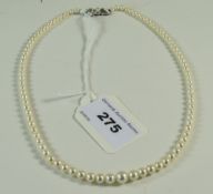 Cultured Pearl Necklace Graduating Pearls Set With A sterling Silver Clasp,