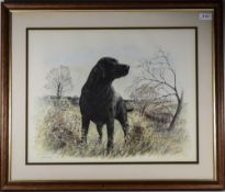 James Rowley Pencil Signed Limited Edition Coloured Print.