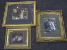 Framed Pastel Drawing Depicting A Hare In A Mossy Setting Signed D Phelan, 10x13 Inches,