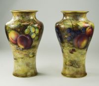 Royal Worcester Very Fine Pair of Hand Painted and Signed Vases ' Fallen Fruits ' Stillife,