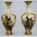 Royal Worcester Pair of Fine Hand Painte