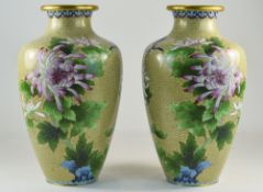 Mid 20th Century Chinese Pair of Cloisonne Vases with Butterfly's and Floral Decoration to Body's.