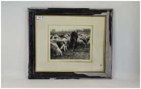 Framed Photograph Shepherd And Flock With Text "My Soul Hath Them In Remembrance And Is Humbled In