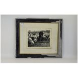 Framed Photograph Shepherd And Flock Wit