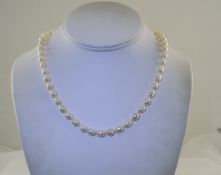 White Cultured Fresh Water Pearl Necklac