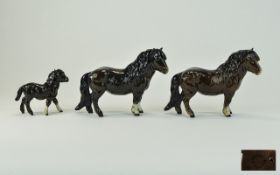 Beswick Horse Figures ( 3 ) In Total. 1/ Wooly Shetland Pony ( 2 ) Model Num 1033. Designer A.