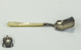 Georgian Silver Caddy Spoon Mother Of Pearl Handle,