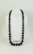 Whitby Jet Graduated Long Necklace with Pearl Coloured Spacers. A Nice Quality Antique Necklace.