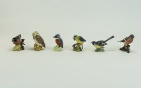 Beswick Bird Figures ( 6 ) In Total. 1/ Grey Wagtail No 1041. 2/ Bull Finch No 1042. 3/ Blue Tit