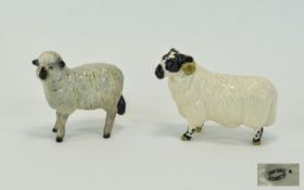 Beswick Farm Animals ( 2 ) In Total. 1/ Black Faced Ram, Model No 3071. Designer Mr Chawner.