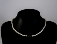 Single Strand Cultured Pearl Necklace, 9 carat Gold clasp.