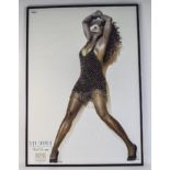 Tina Turner Interest Framed Poster "Foreign Affair" From Her 1990 World Tour.