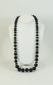 Whitby Jet Graduated Long Necklace with Pearl Coloured Spacers. A Nice Quality Antique Necklace.