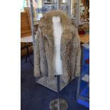 Coyote Ladies Short Fur Jacket, Fully li