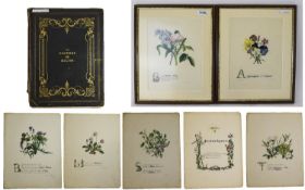 Natural History GIRAUD (JANE ELIZABETH) The Flowers Of Milton,
