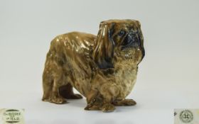 Royal Doulton Dog Figure - Ch Biddee of Ifield - Pekinese ( Large Size ) HN1011.